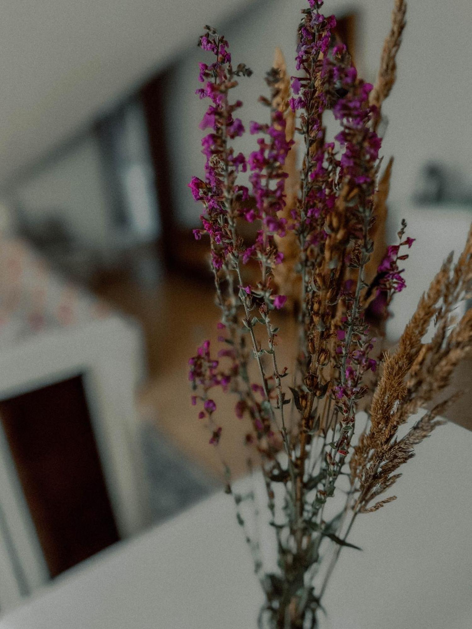 Boho Przystan Łazy Eksteriør billede