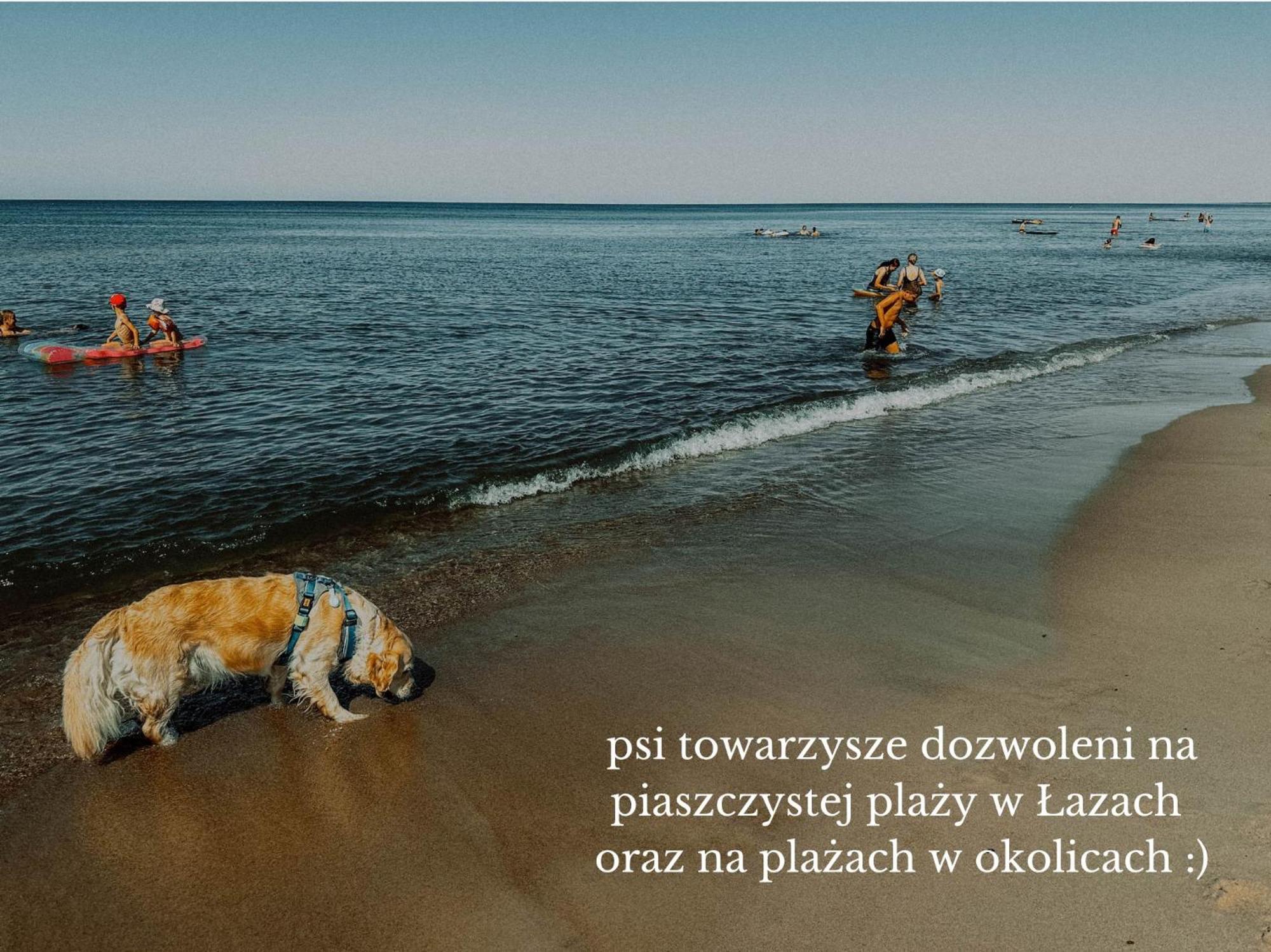 Boho Przystan Łazy Eksteriør billede