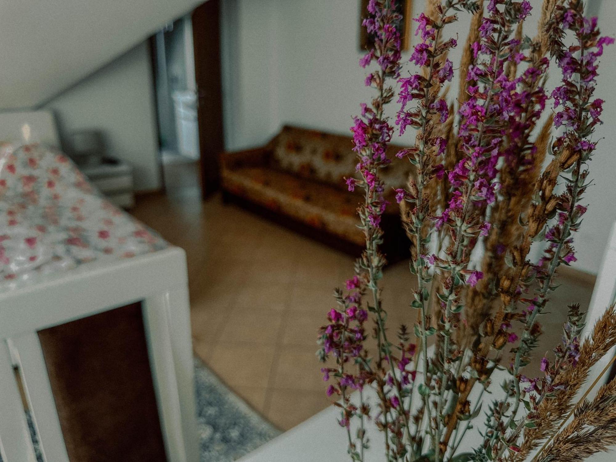 Boho Przystan Łazy Eksteriør billede