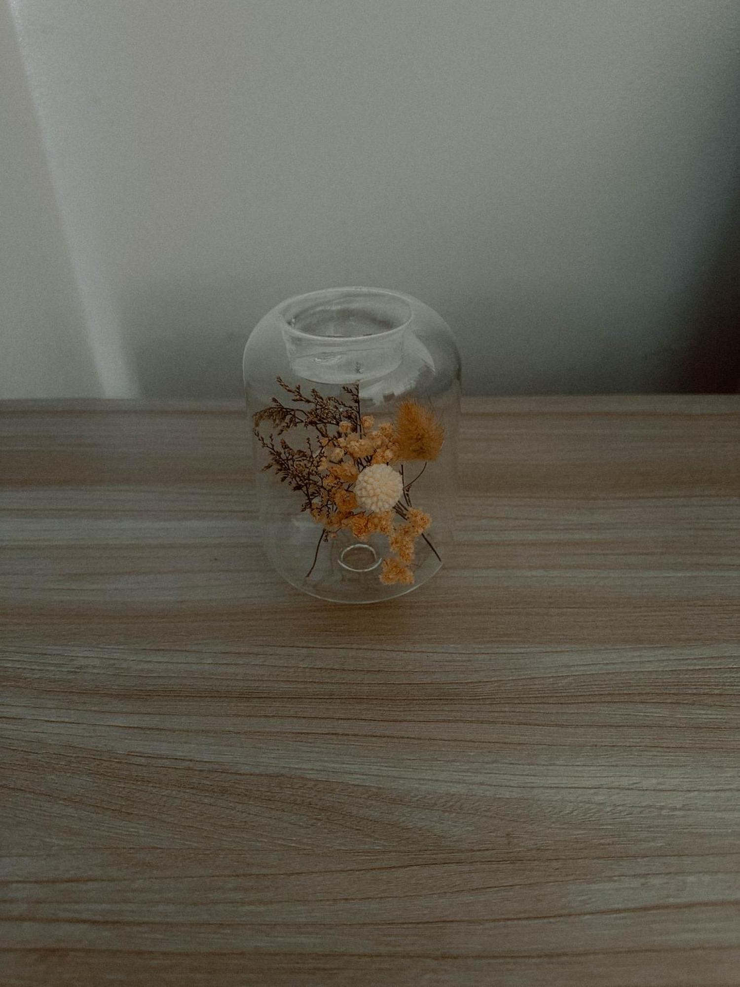 Boho Przystan Łazy Eksteriør billede